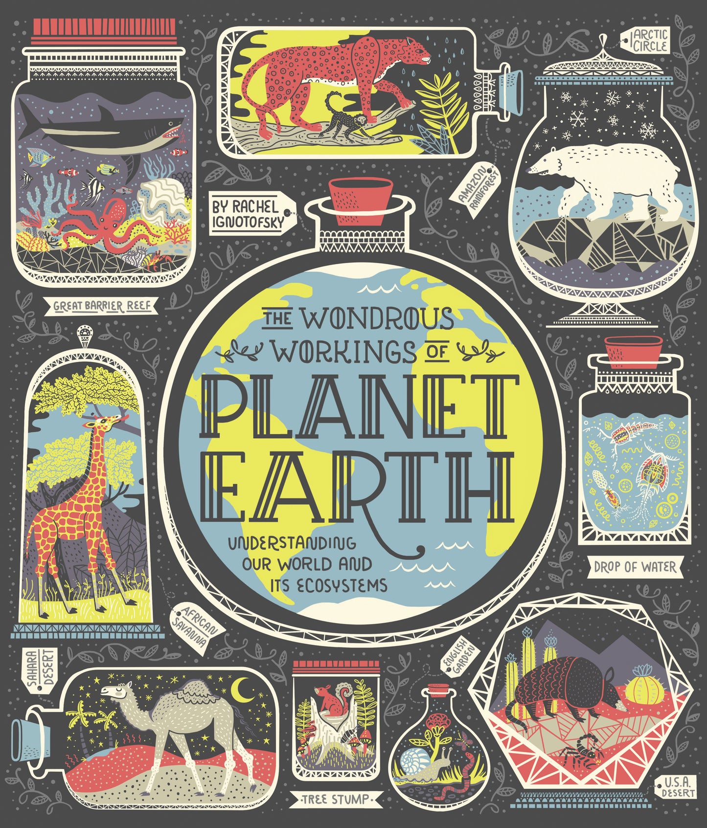 The Wondrous Workings of Planet Earth - Agricola Street Books