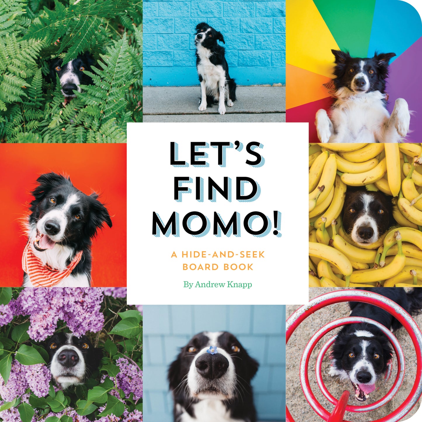 Let's Find Momo! - Agricola Street Books