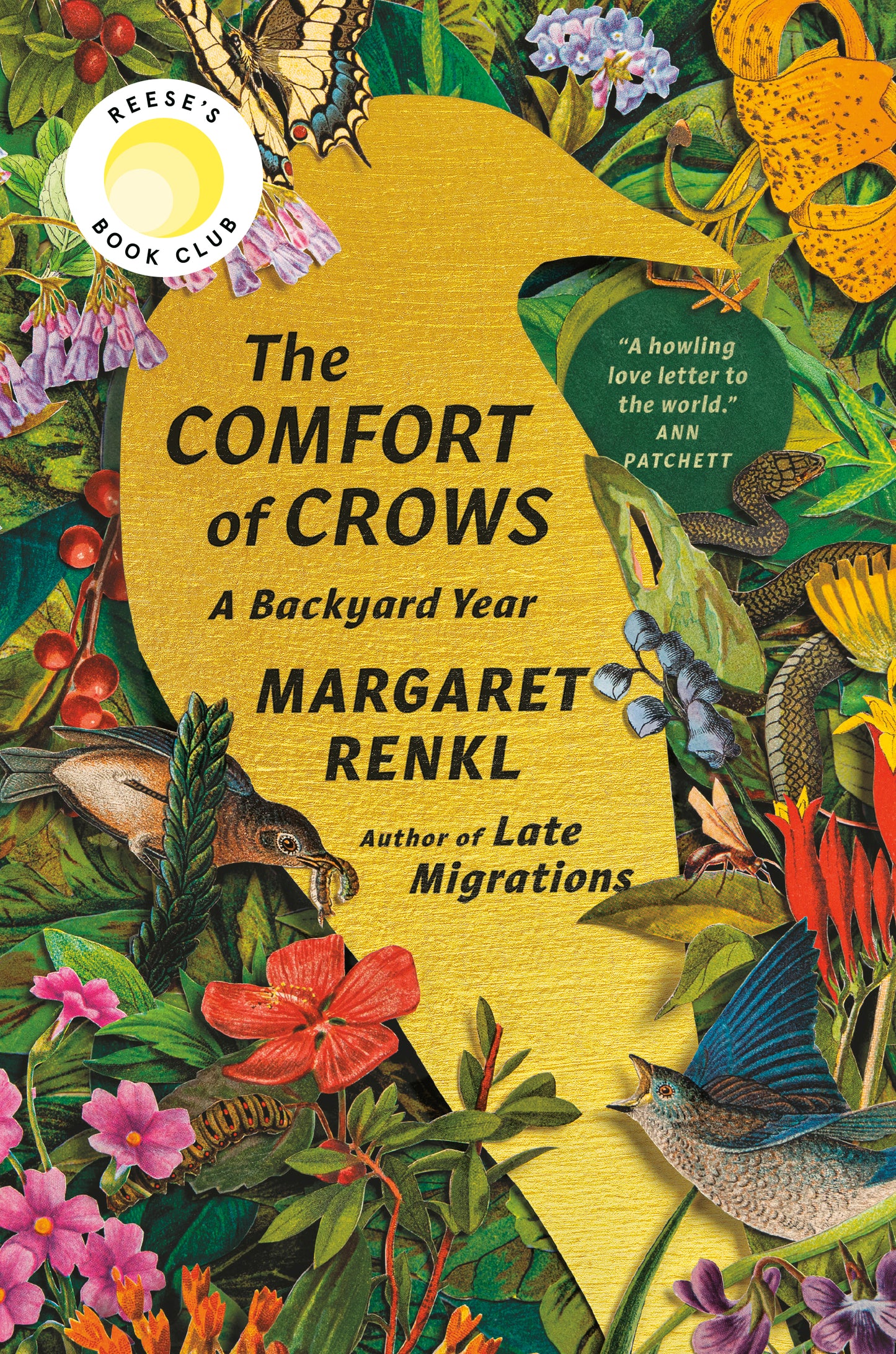 The Comfort of Crows - Agricola Street Books