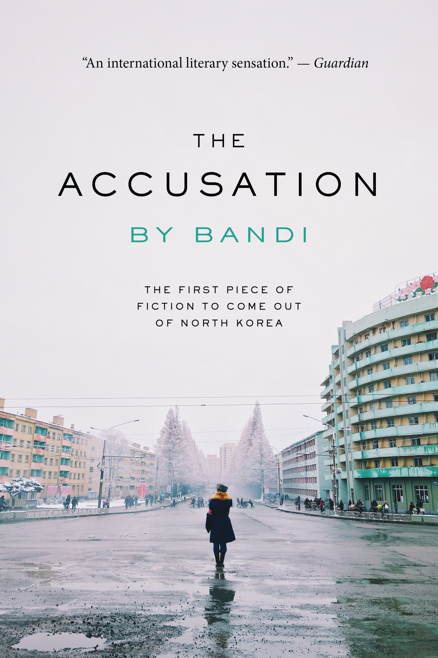 The Accusation - Agricola Street Books
