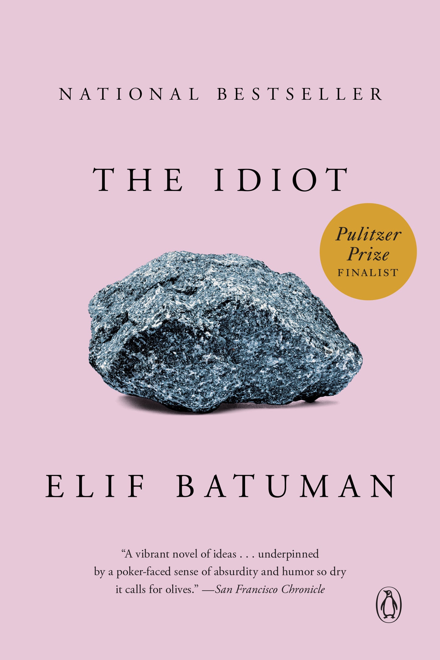 The Idiot - Agricola Street Books