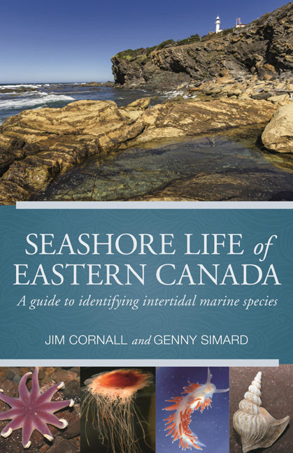 Seashore Life of Eastern Canada - Agricola Street Books