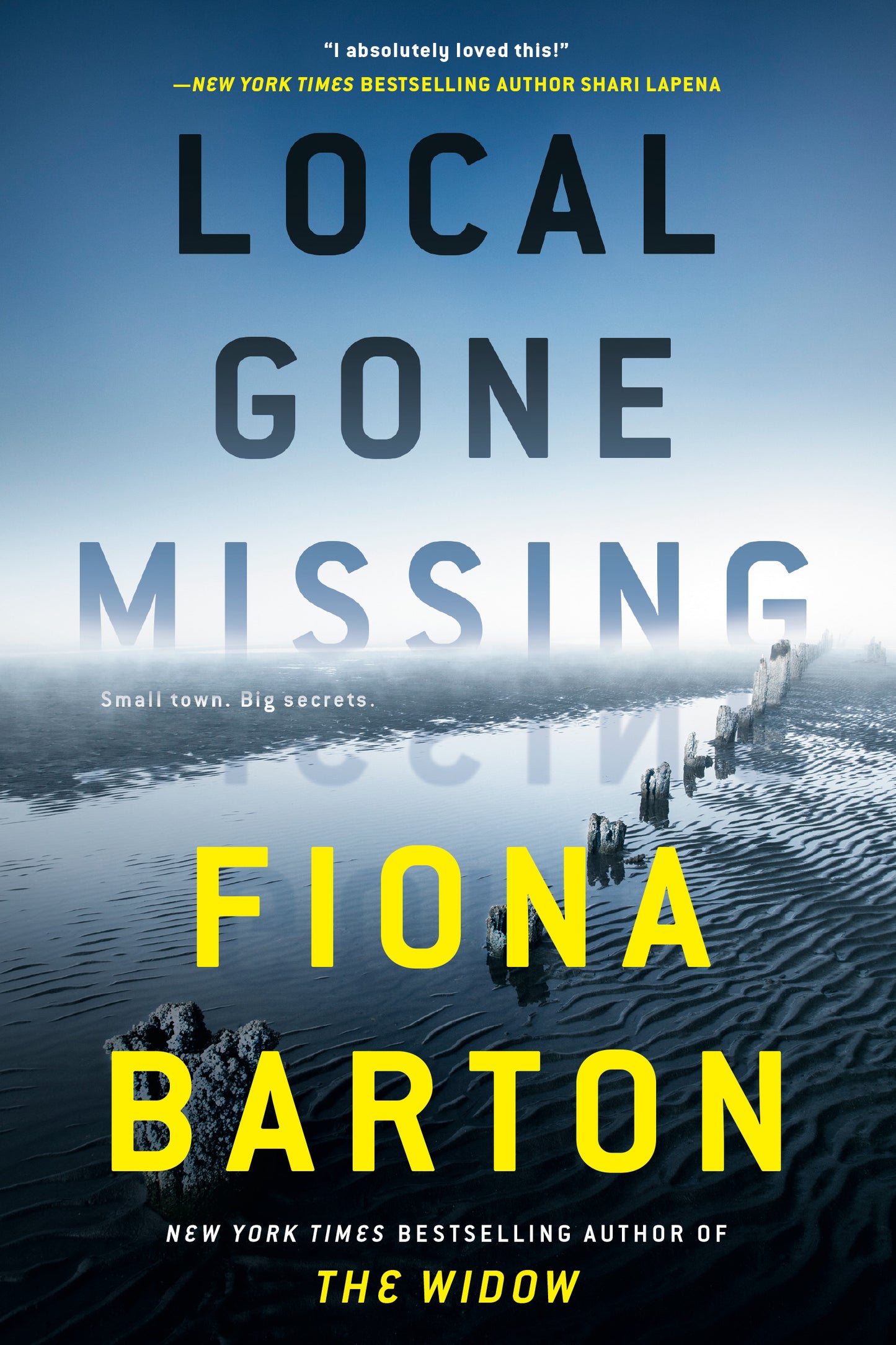 Local Gone Missing - Agricola Street Books