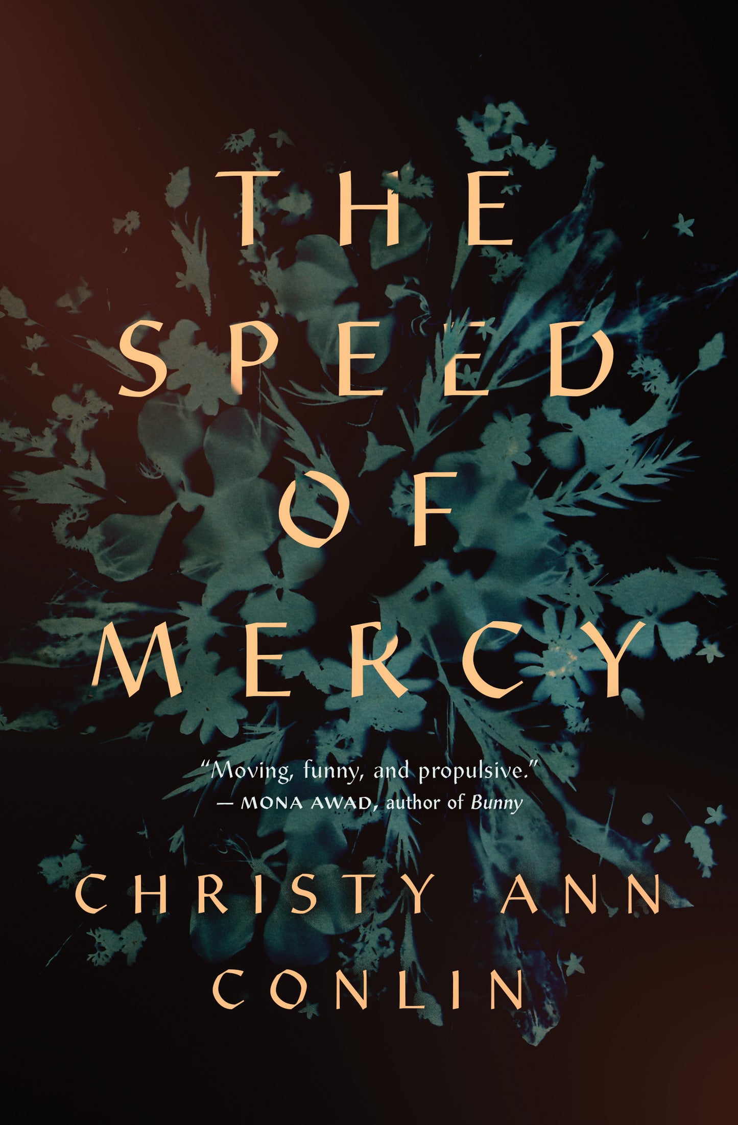 The Speed of Mercy - Agricola Street Books
