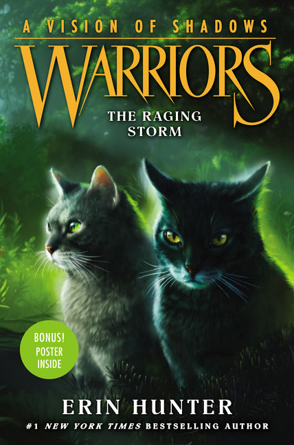 Warriors: A Vision of Shadows #6: The Raging Storm - Agricola Street Books