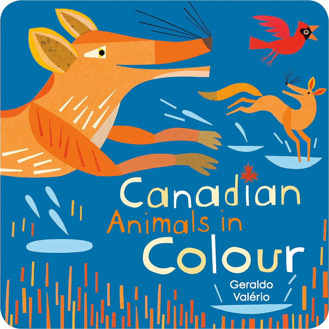 Canadian Animals in Colour - Agricola Street Books