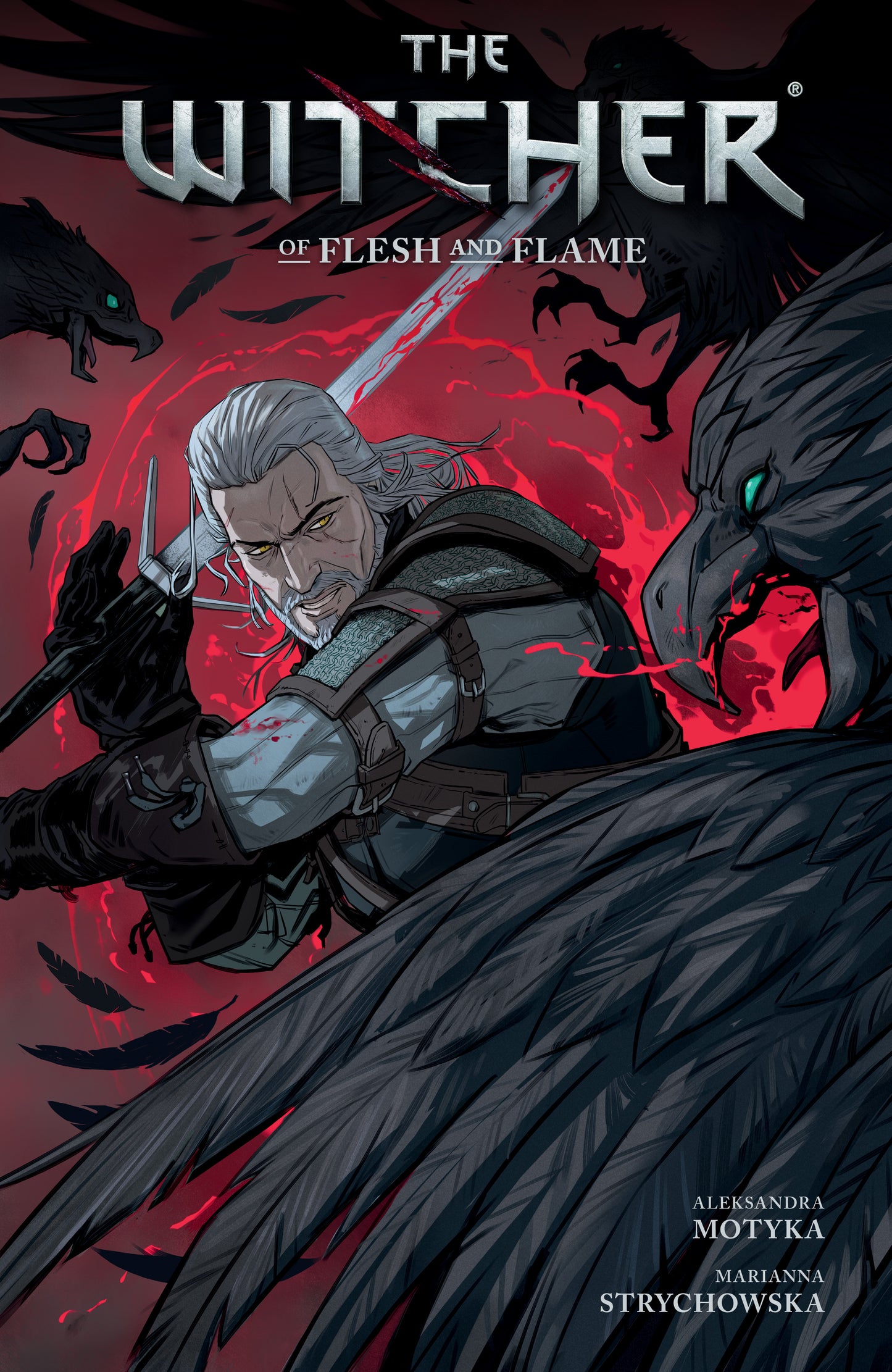 The Witcher Volume 4: Of Flesh and Flame - Agricola Street Books