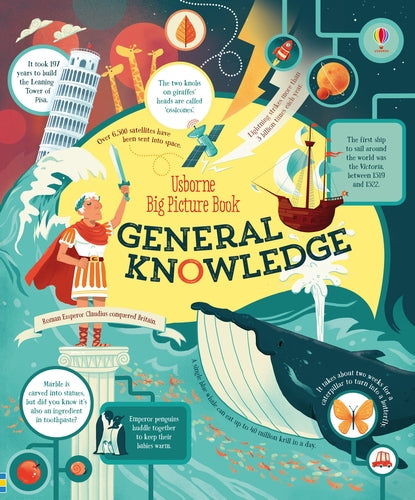 Usborne Big Picture Book: General Knowledge - Agricola Street Books