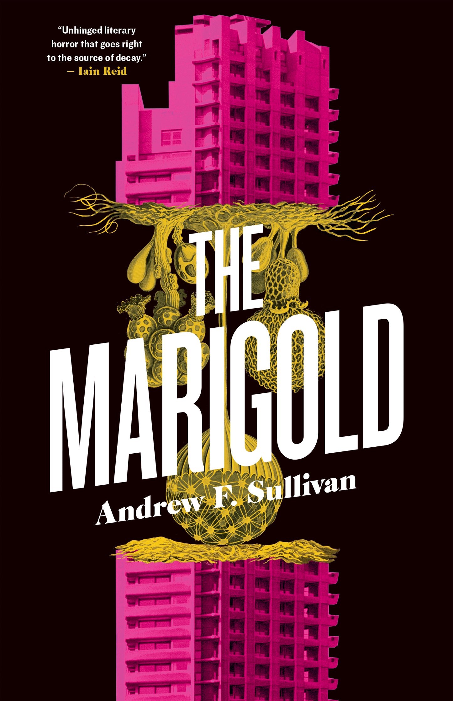 The Marigold - Agricola Street Books