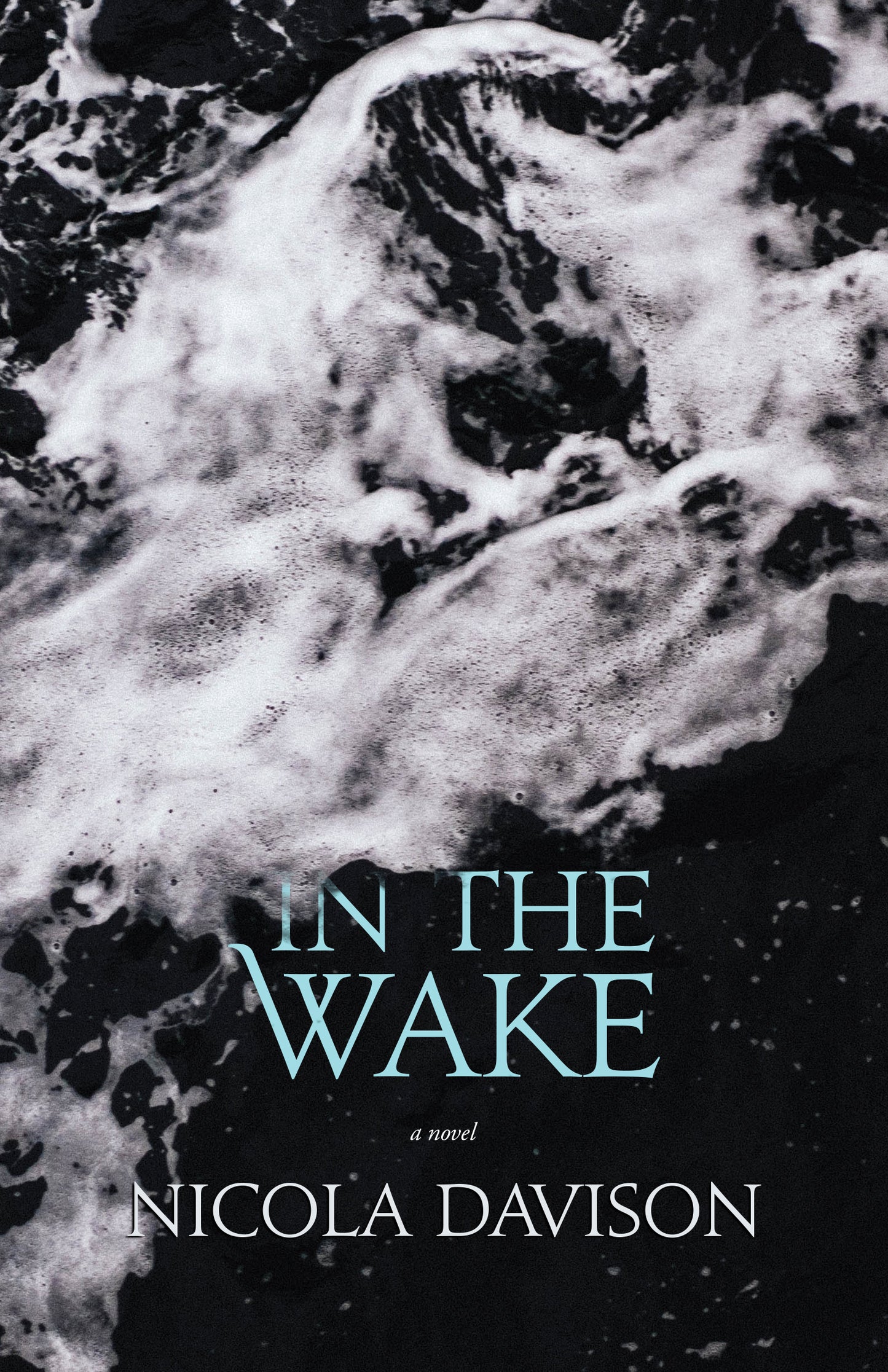 In the Wake - Agricola Street Books