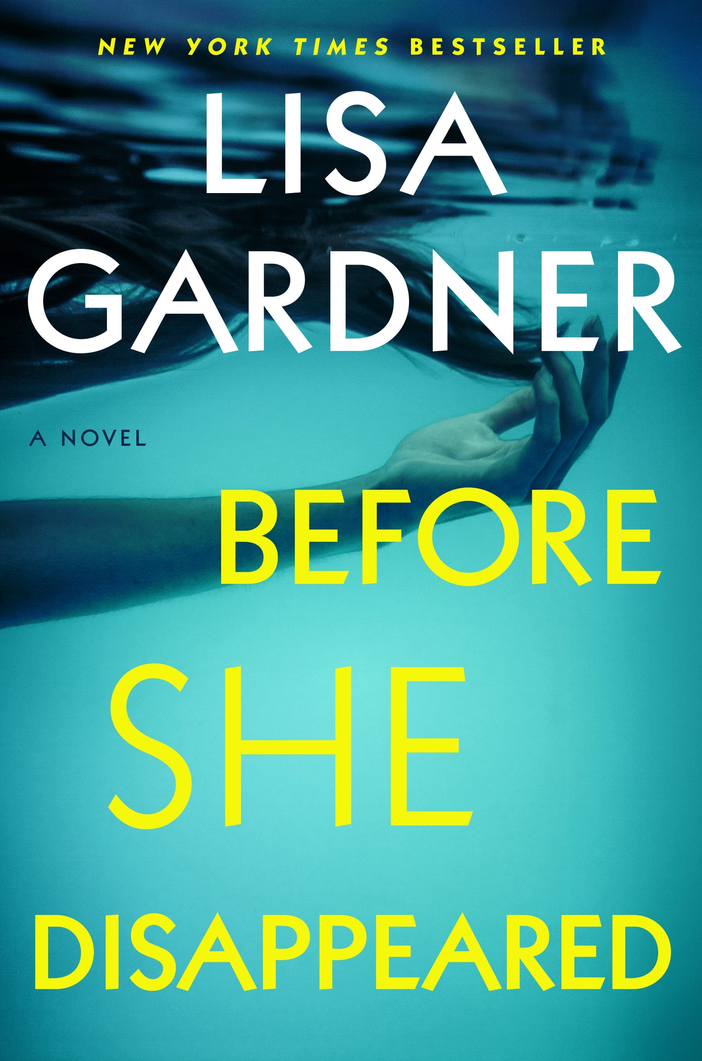 Before She Disappeared - Agricola Street Books