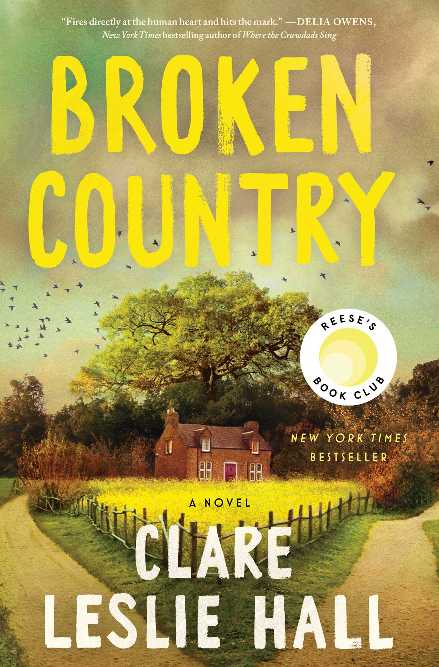 Broken Country - Agricola Street Books