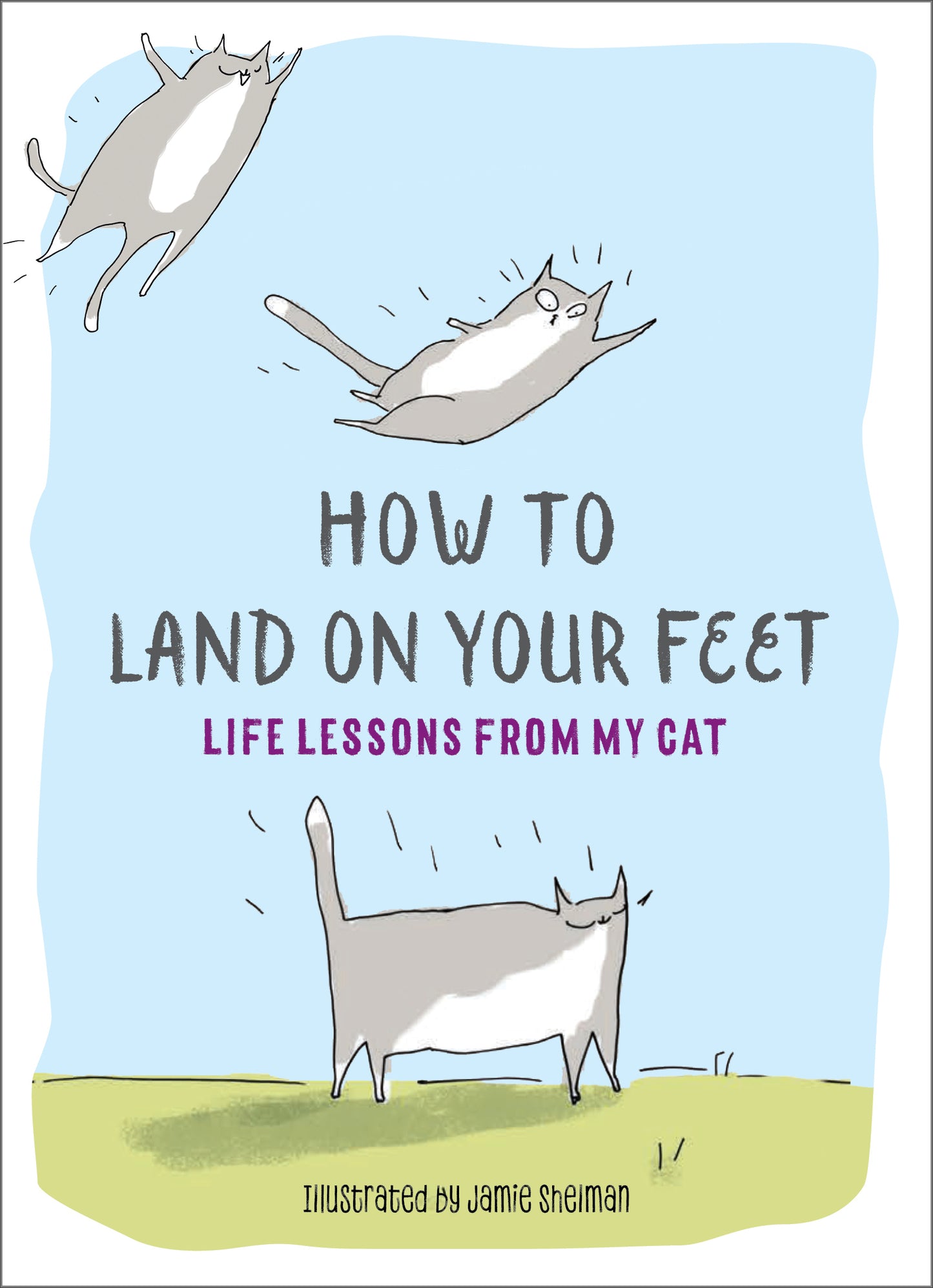How to Land on Your Feet - Agricola Street Books