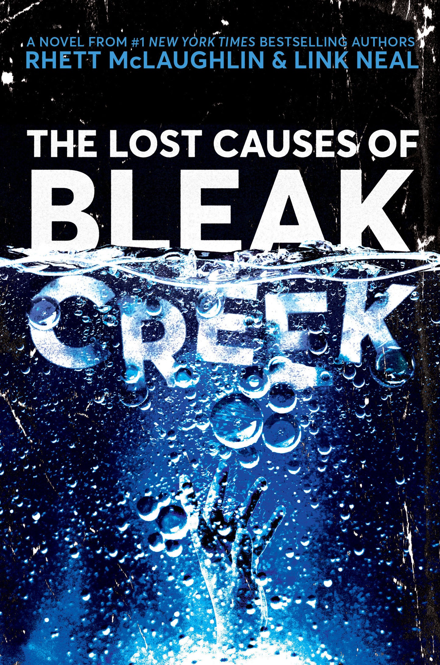 The Lost Causes of Bleak Creek - Agricola Street Books