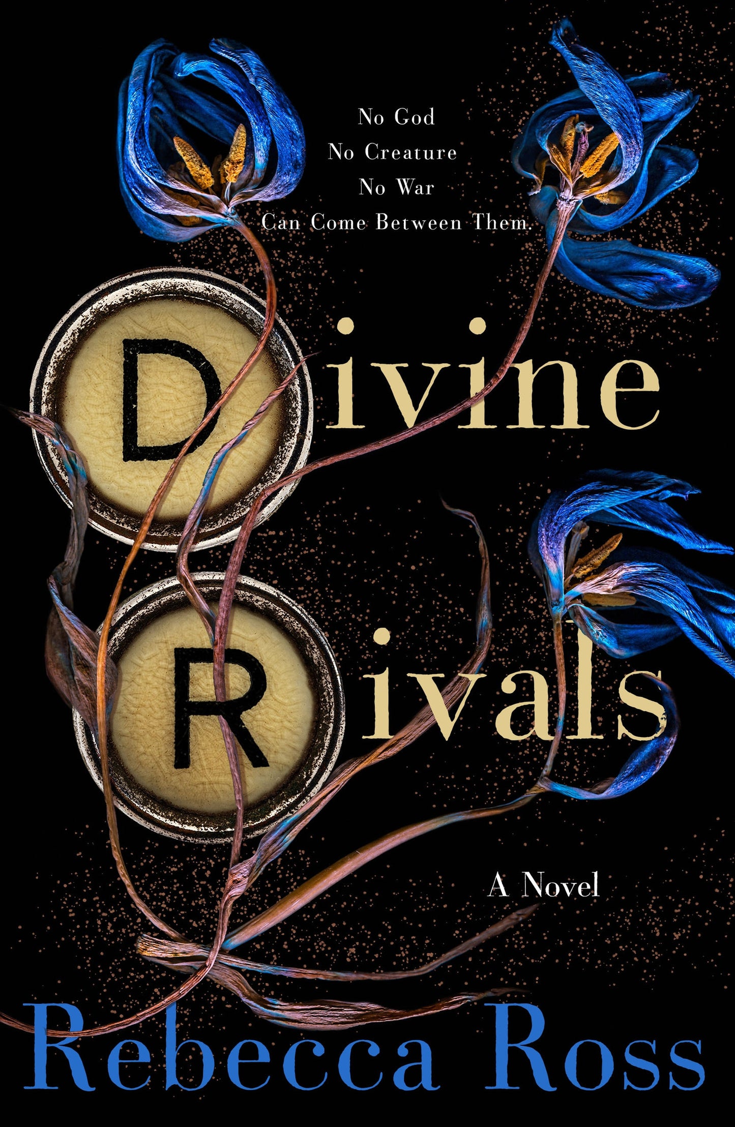 Divine Rivals (Letters of Enchantment #1) - Agricola Street Books