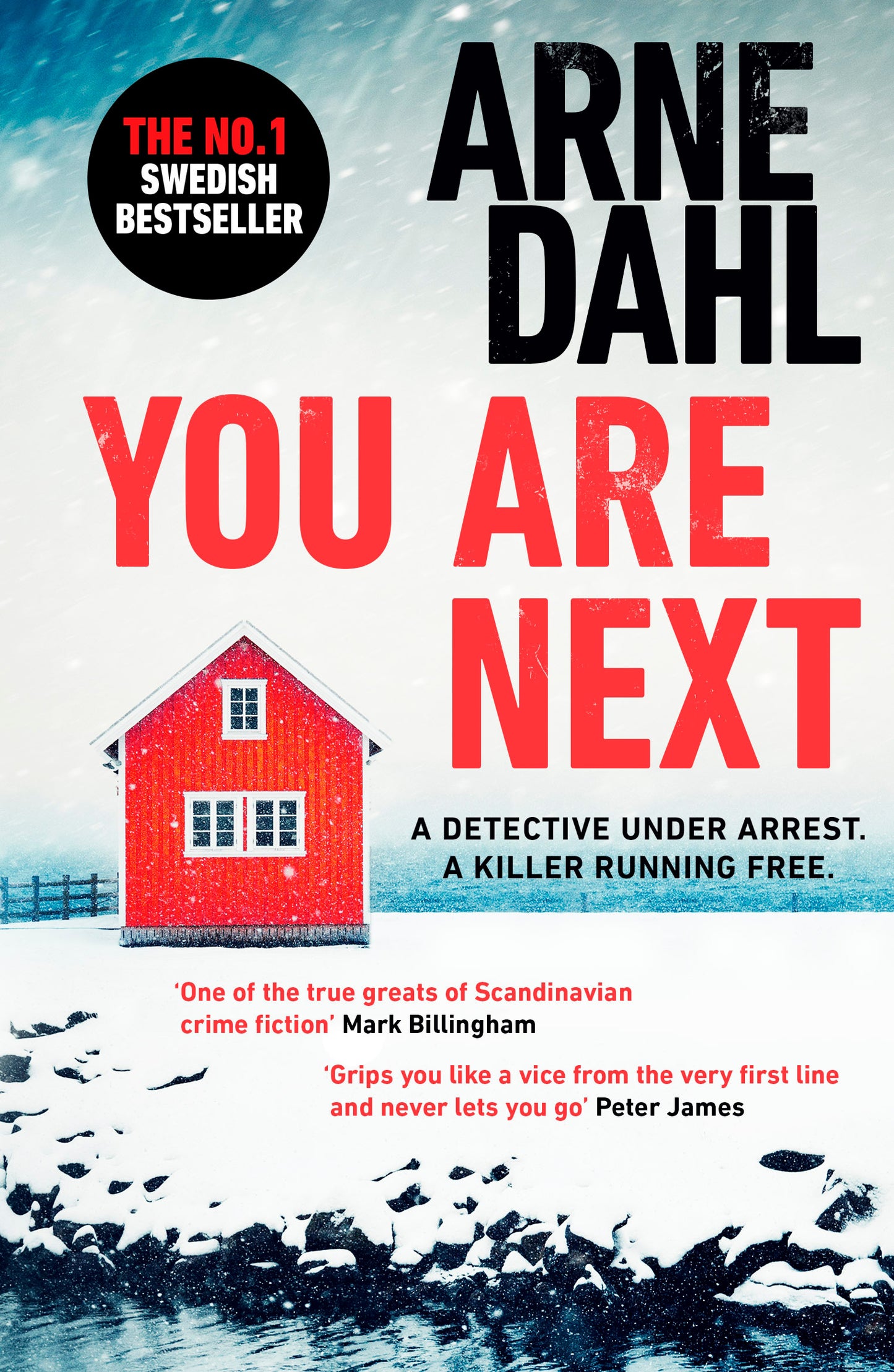 You Are Next - Agricola Street Books