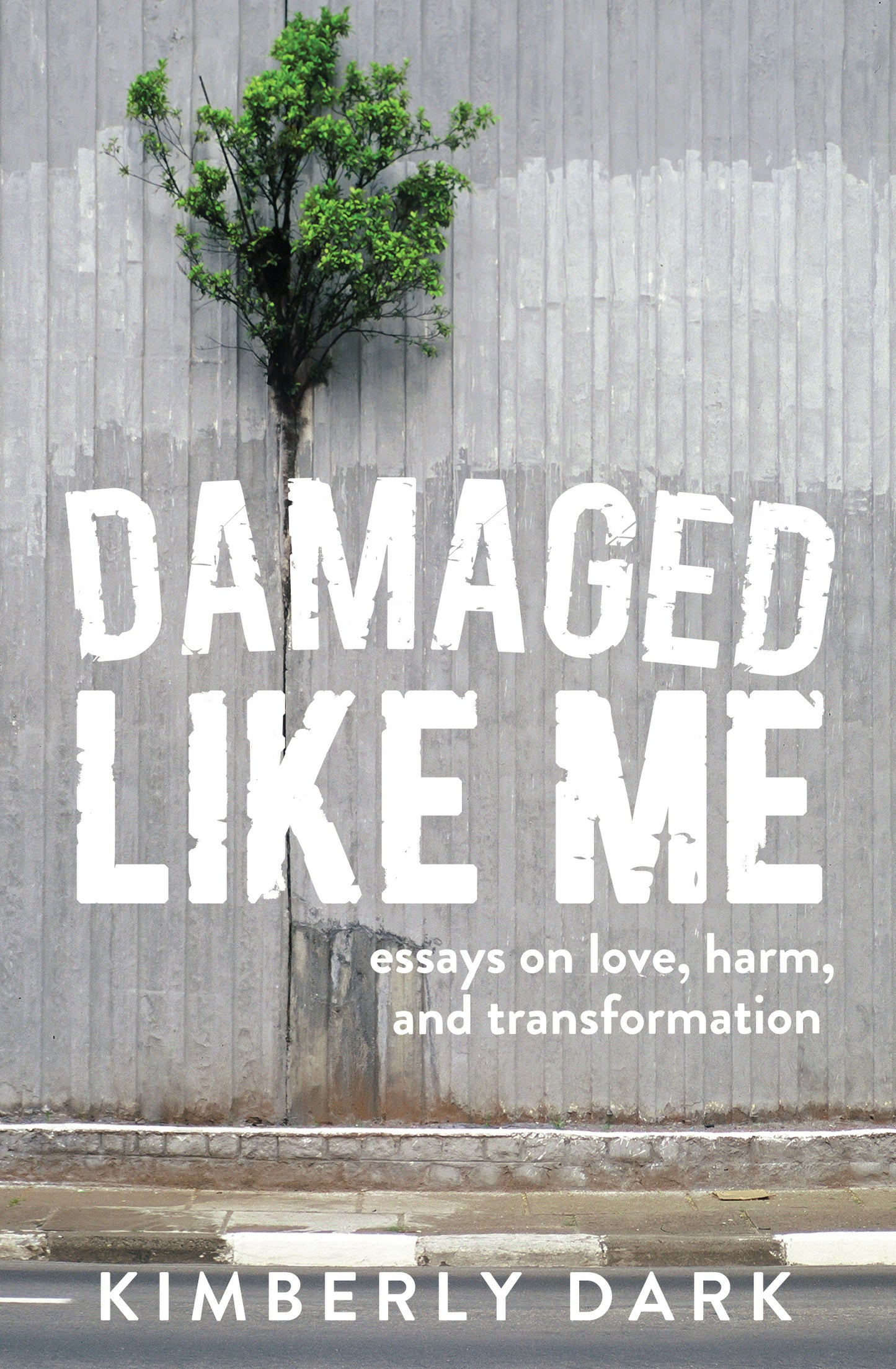 Damaged Like Me - Agricola Street Books