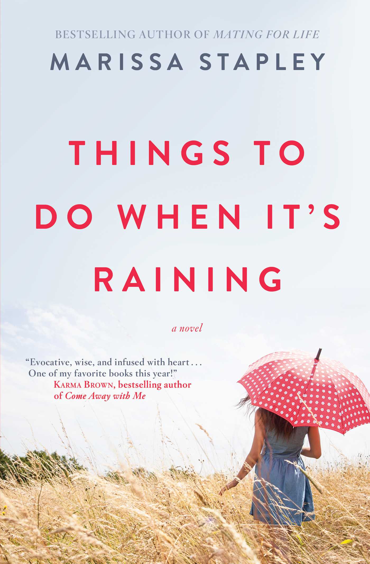 Things to Do When It's Raining - Agricola Street Books