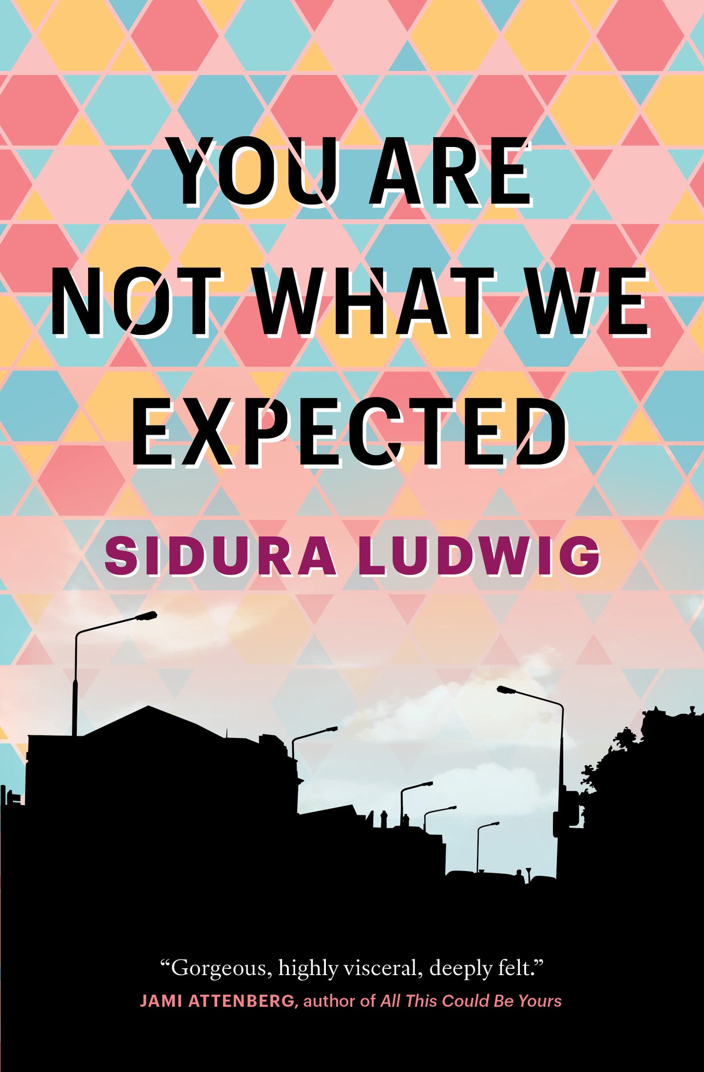 You Are Not What We Expected - Agricola Street Books