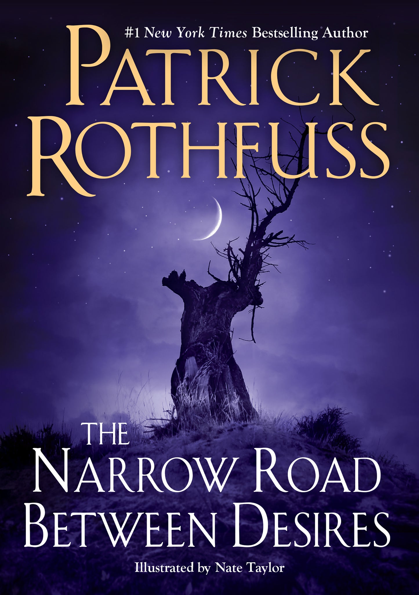 The Narrow Road Between Desires - Agricola Street Books