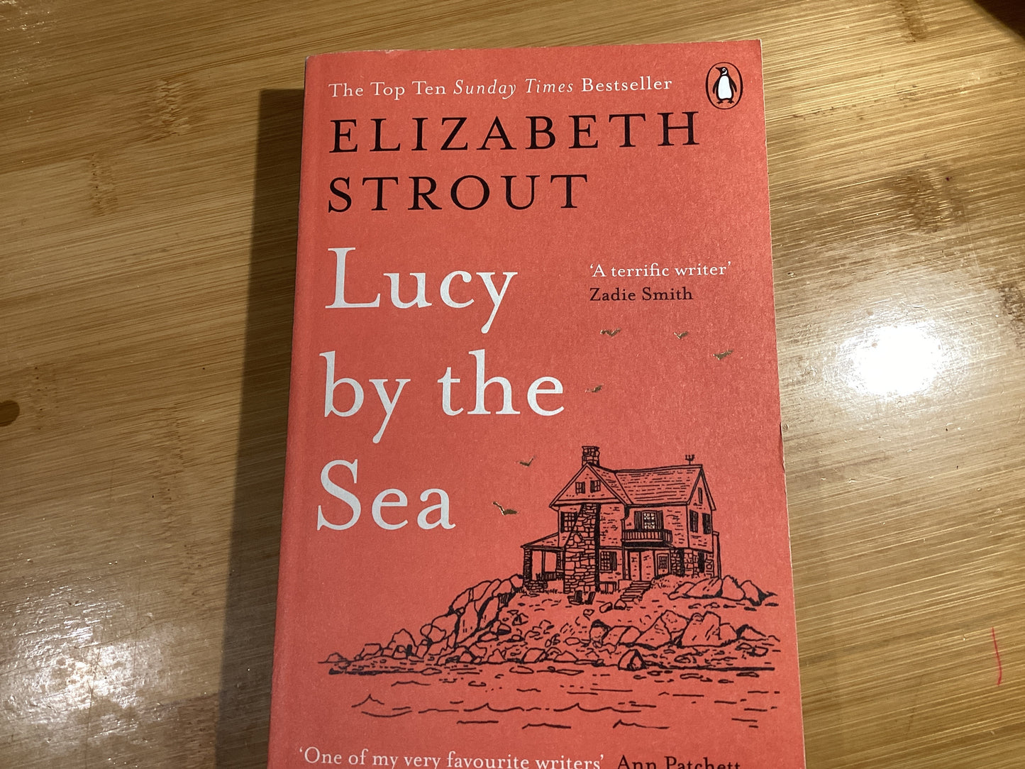 Lucy by the Sea (Amgash #4) - Agricola Street Books