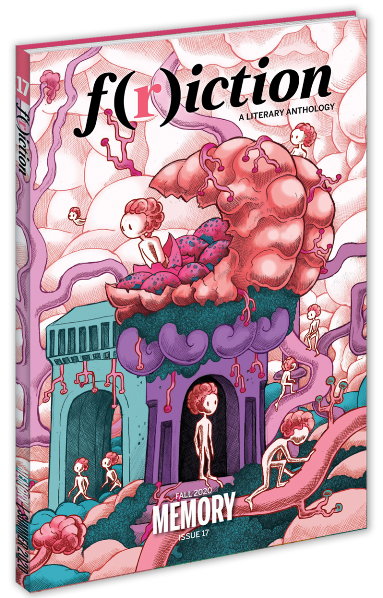 The Memory Issue - Agricola Street Books