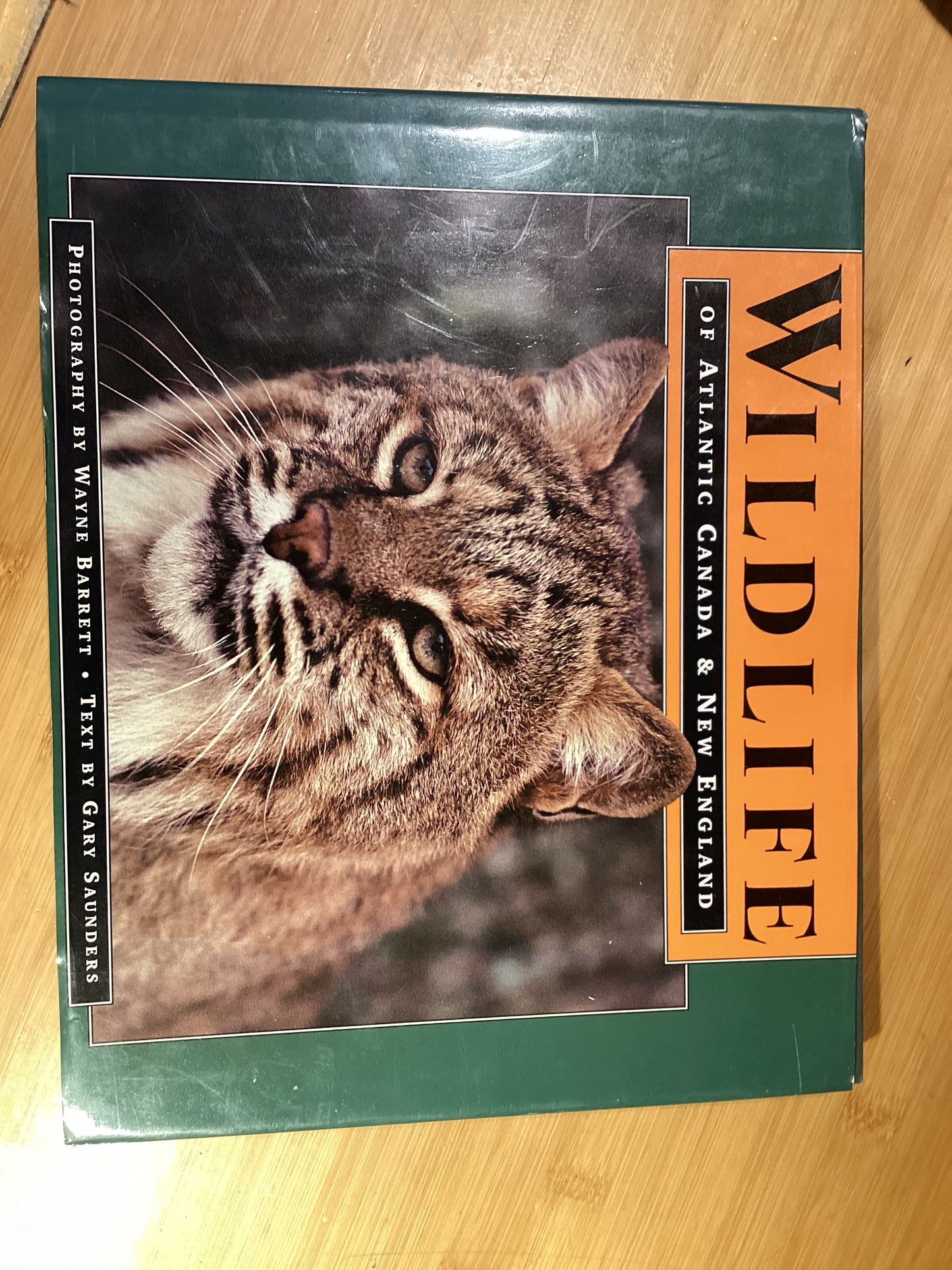 Wildlife of Atlantic Canada & New England