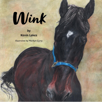 Wink - Agricola Street Books