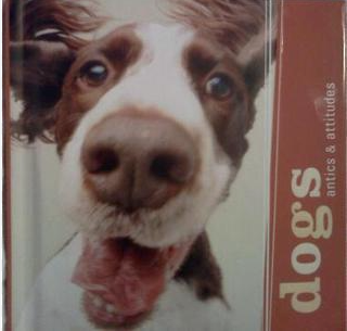 Dogs: Antics & Attitudes - Agricola Street Books