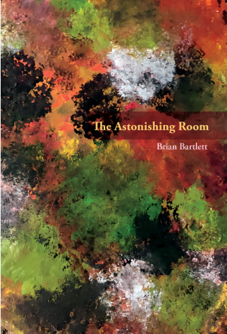 The Astonishing Room - Agricola Street Books