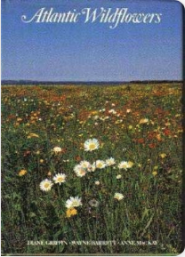 Atlantic Wildflowers - Agricola Street Books