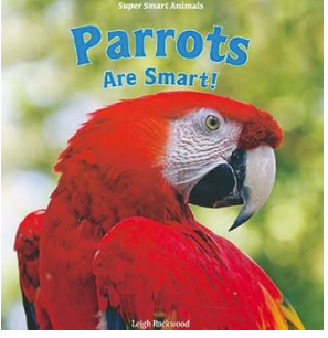 Parrots Are Smart! - Agricola Street Books