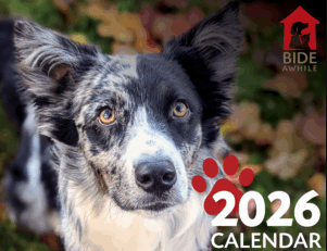 Bide Awhile Calendar 2026