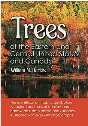 Trees of the Eastern and Central United States and Canada