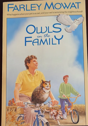 Owls in the Family