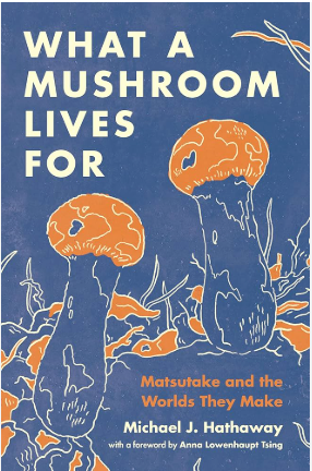 What a Mushroom Lives For