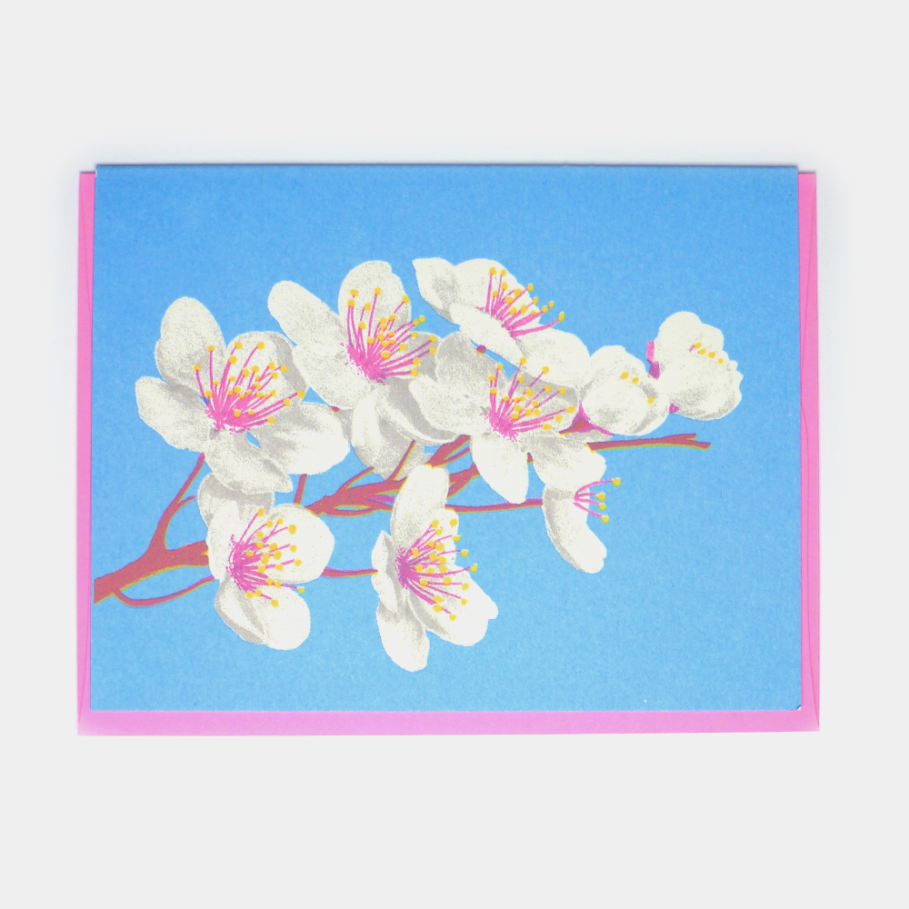 Kid Icarus - Everyday - Cherry Blossom - Agricola Street Books