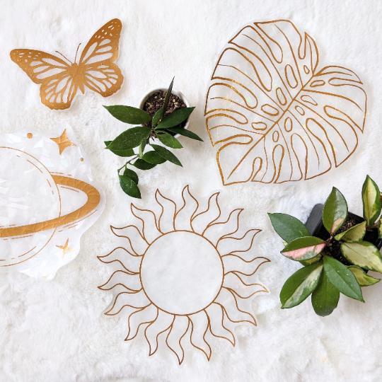 Prismatic Kitty - Jellyfish Suncatcher - Agricola Street Books