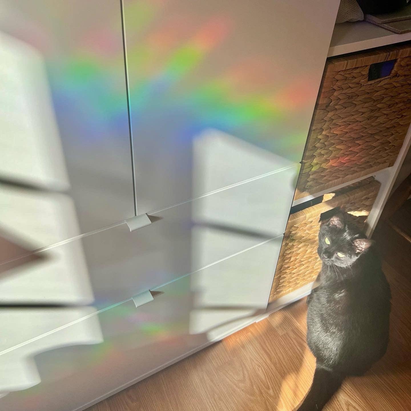 Little Calico Clay - Floral Vase Rainbow Suncatcher | Rainbow Window Cling