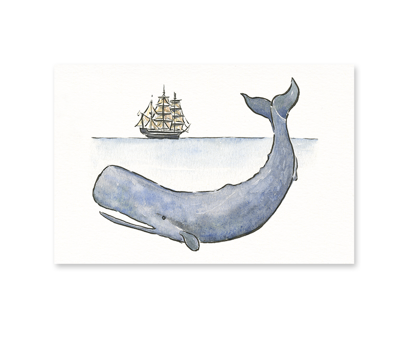 Gotamago - Moby Dick Postcard - Agricola Street Books