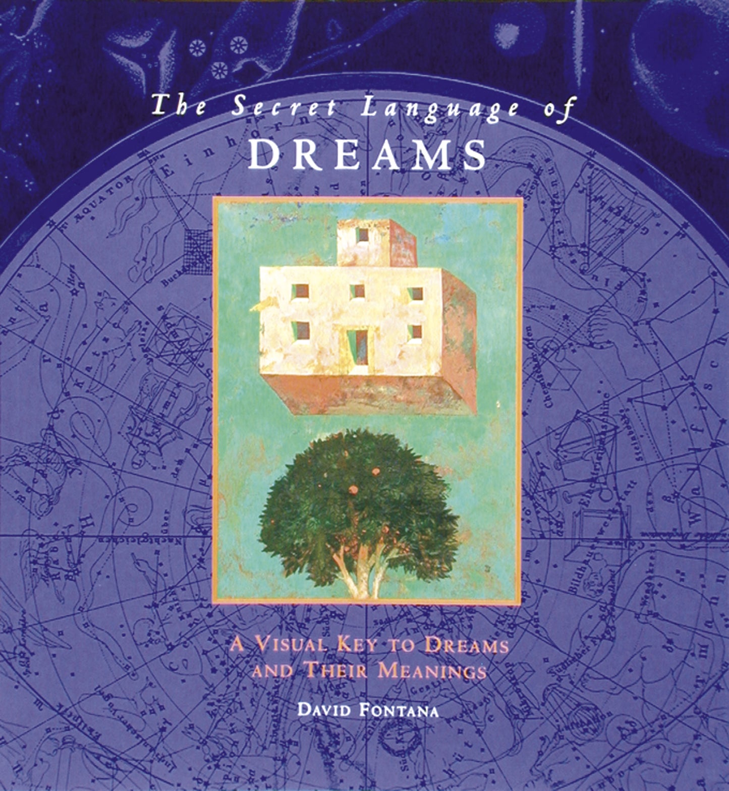 The Secret Language of Dreams - Agricola Street Books