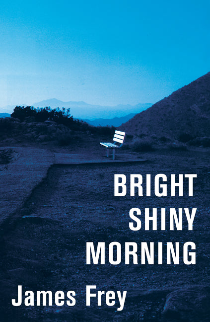 Bright Shiny Morning - Agricola Street Books