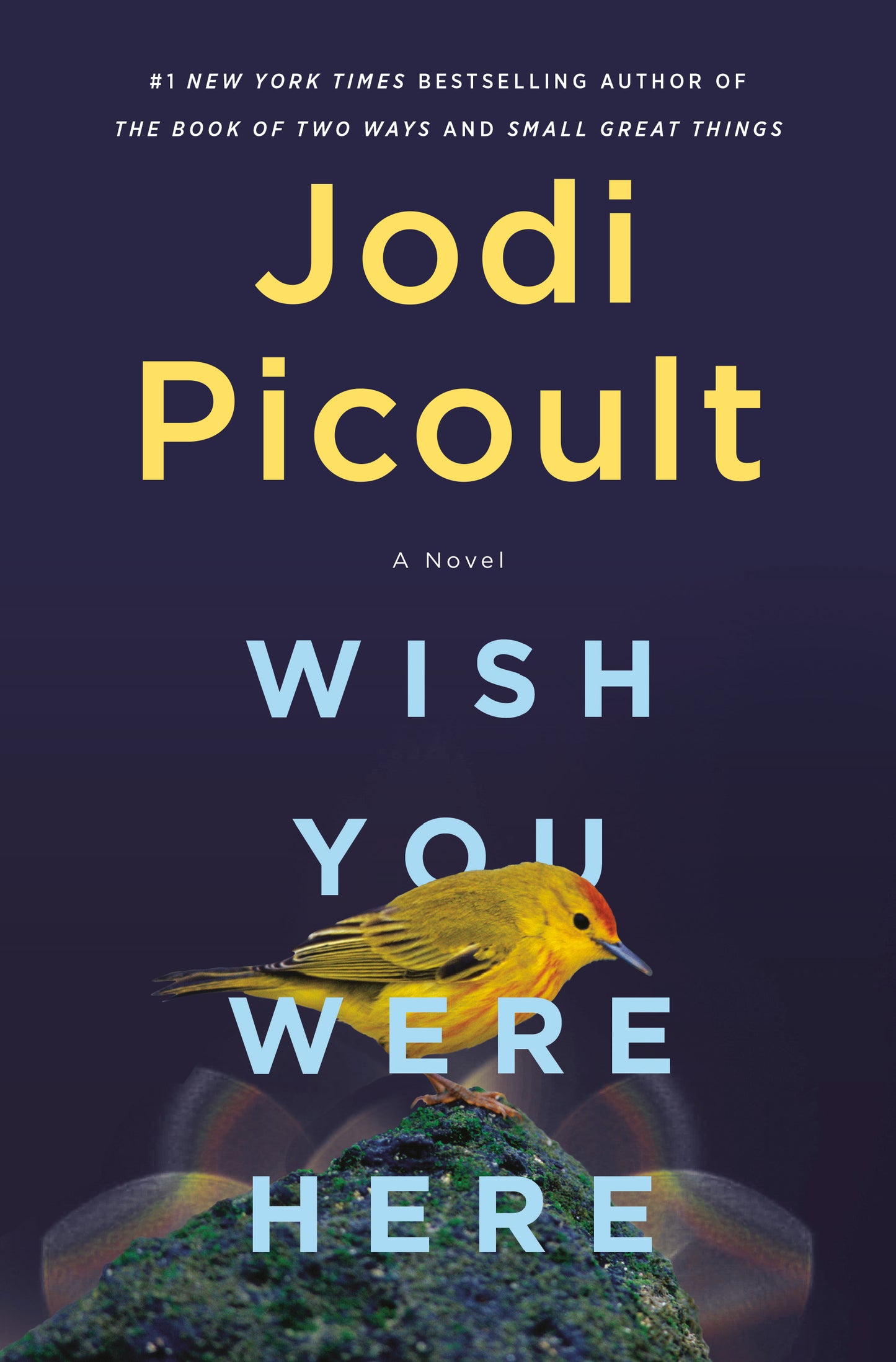 Wish You Were Here - Agricola Street Books