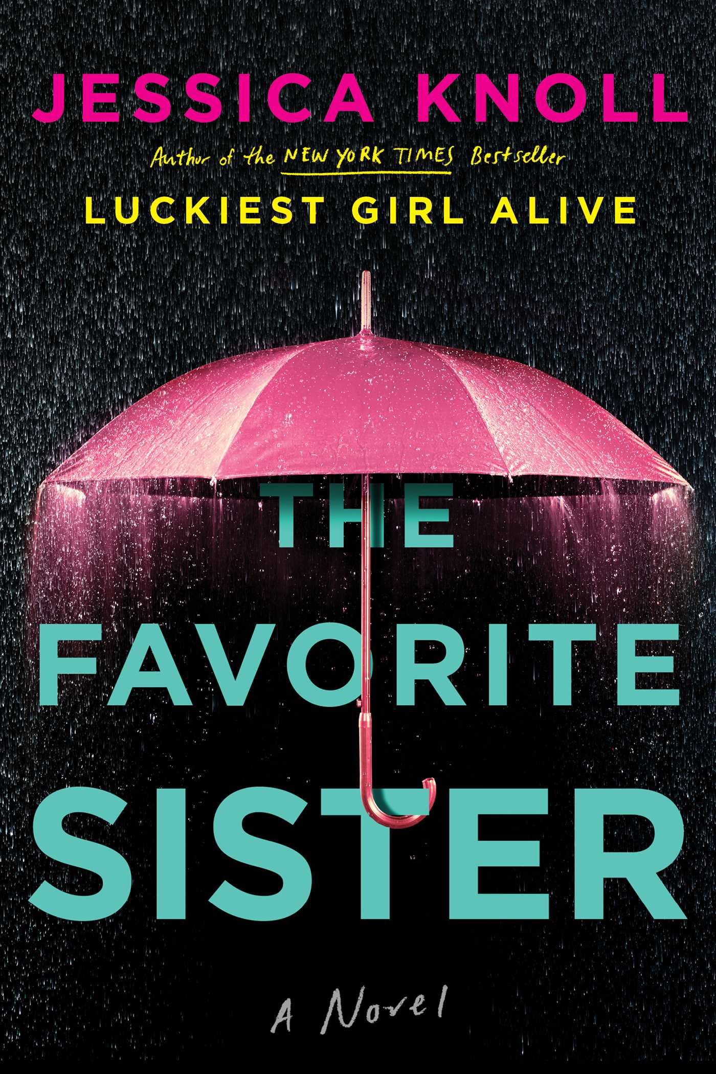 The Favorite Sister - Agricola Street Books