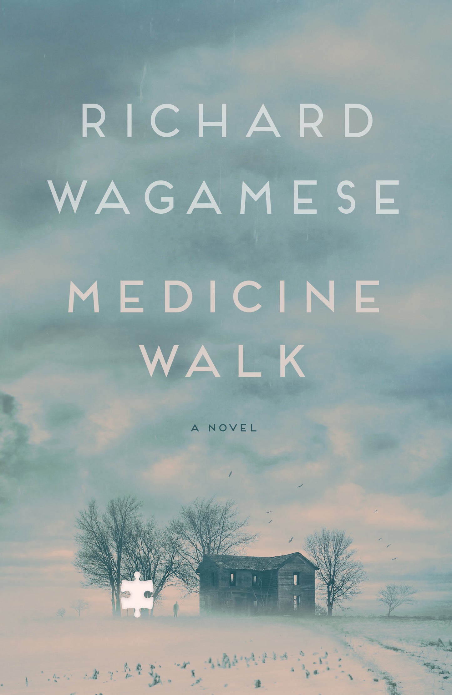 Medicine Walk(author request) - Agricola Street Books