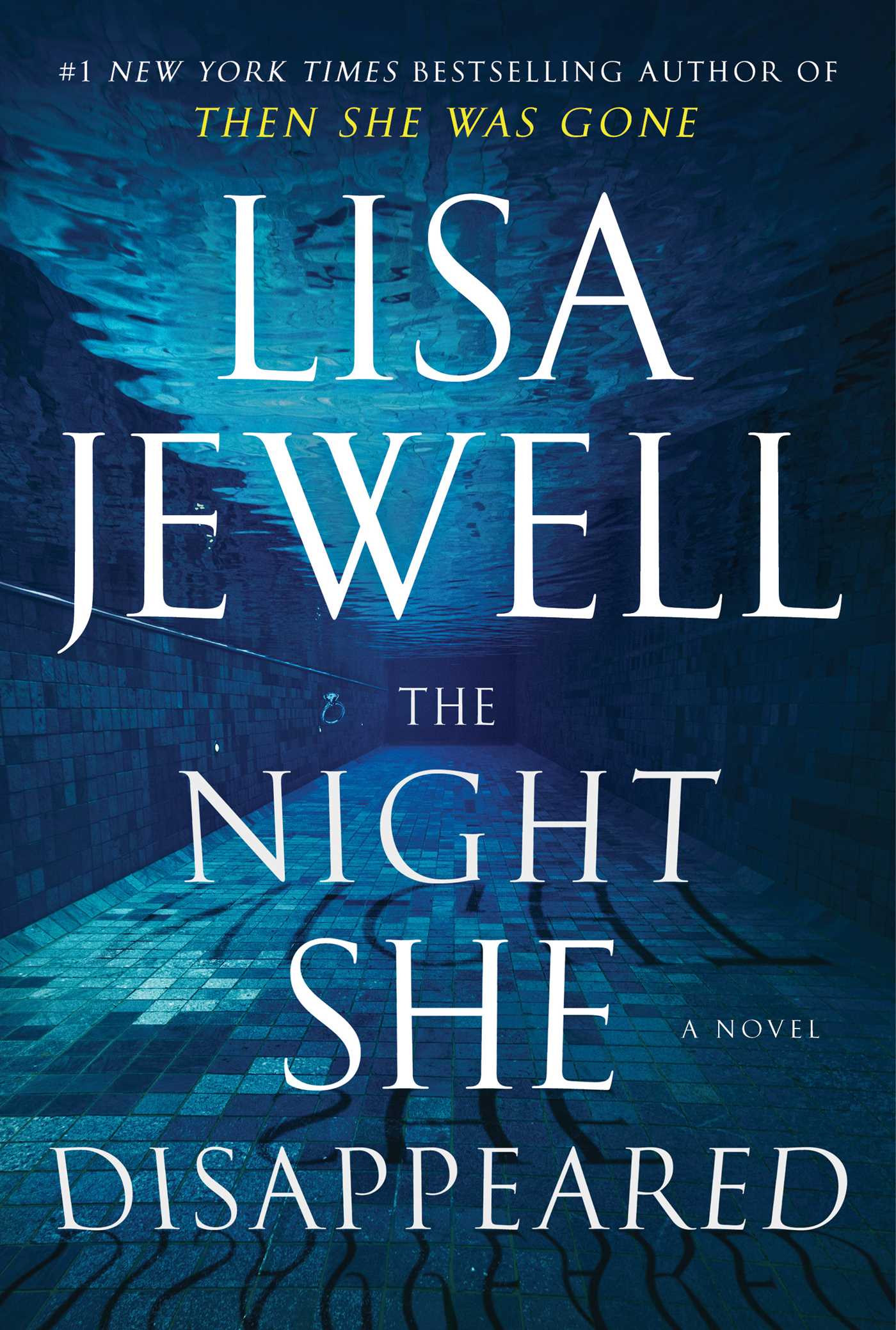 The Night She Disappeared - Agricola Street Books