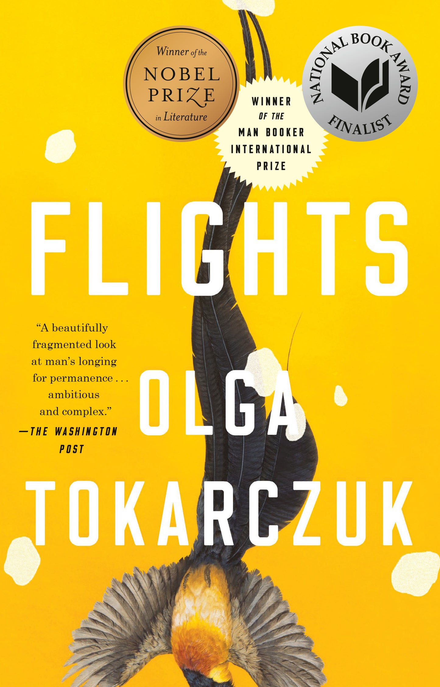 Flights - Agricola Street Books