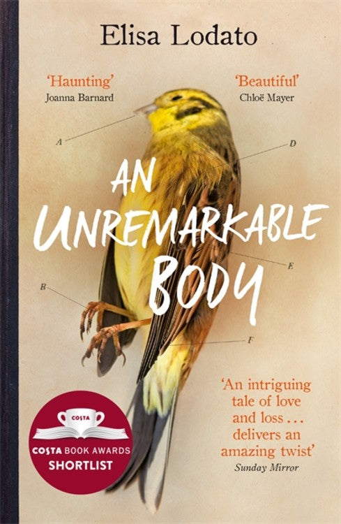 An Unremarkable Body - Agricola Street Books
