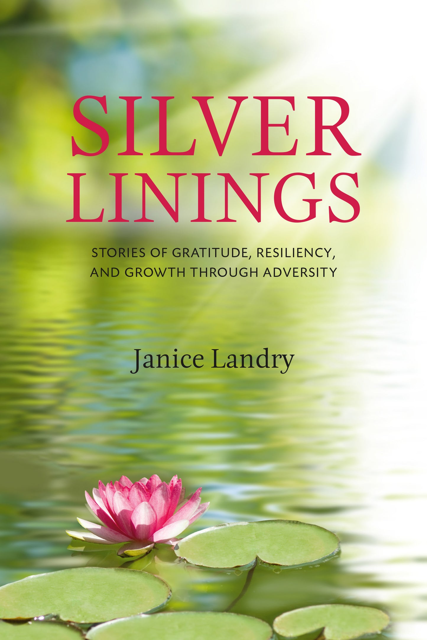 Silver Linings - Agricola Street Books