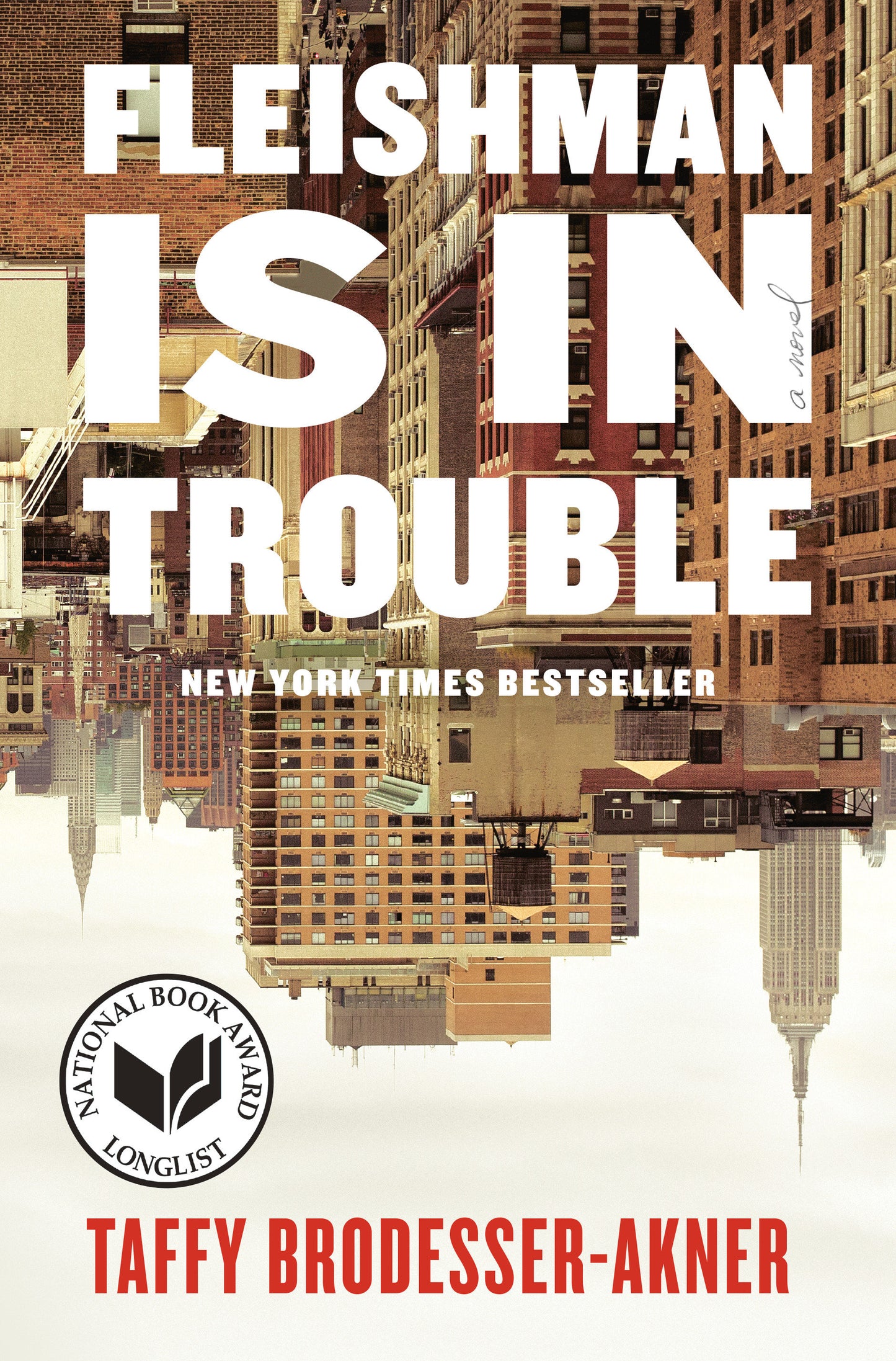 Fleishman Is in Trouble - Agricola Street Books